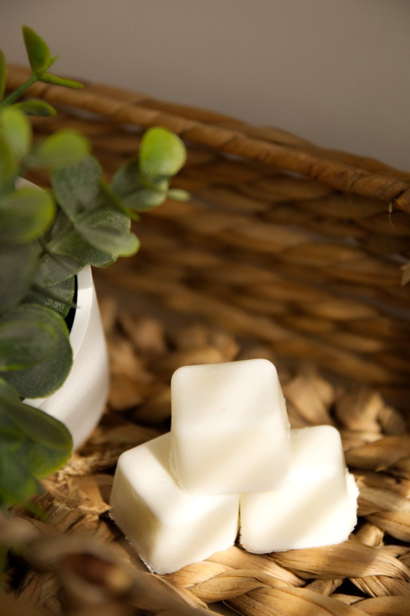 Fresh Laundry - Smyth Candle CoSmyth Candle Cowax meltSmyth Candle Co